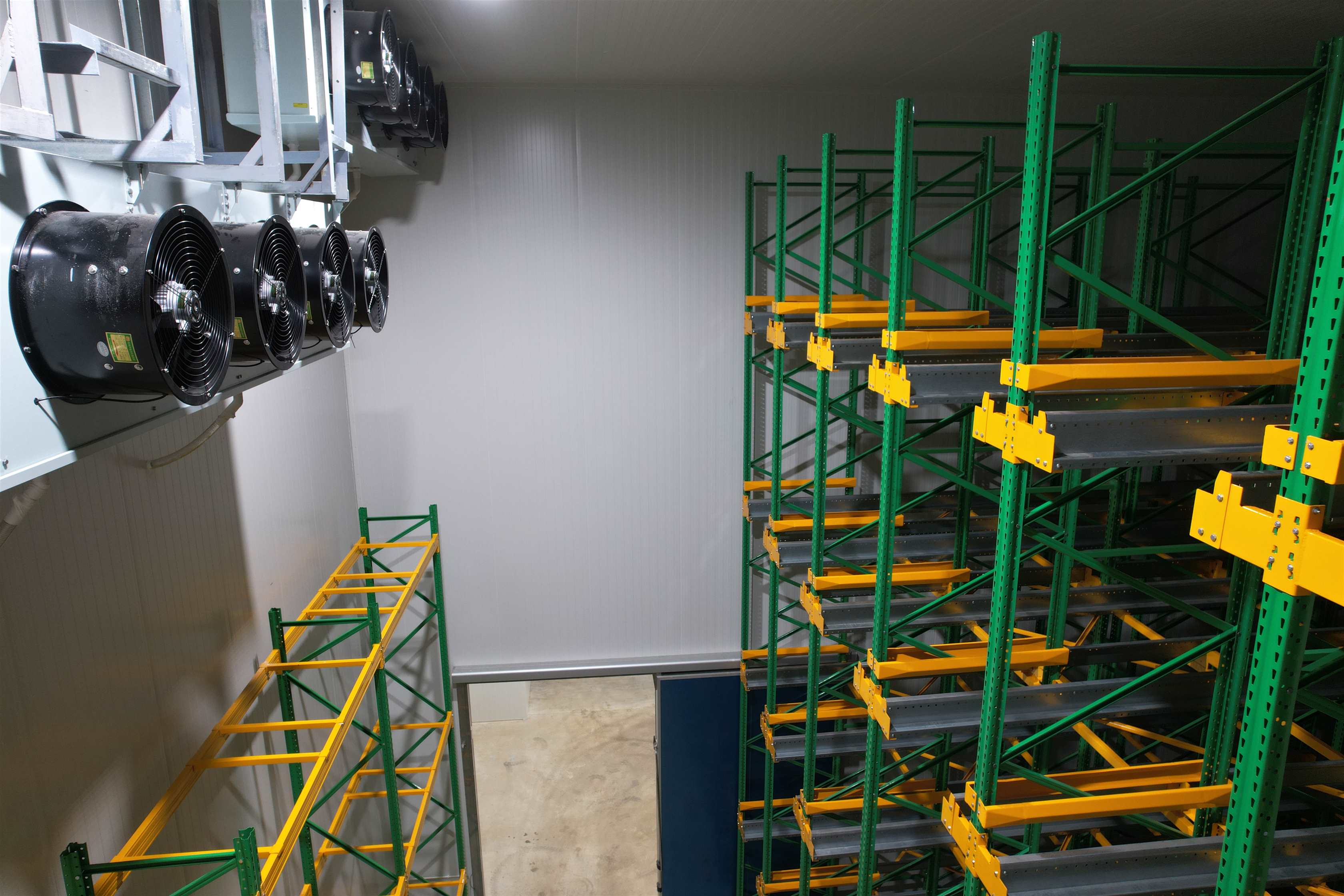 Cold Chain là gì? Những yếu tố quan trọng trong logistics chuỗi lạnh